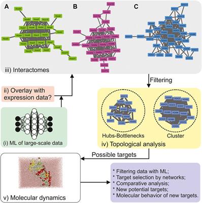 Editorial: Computational and integrative approaches for developmental biology and molecular evolution